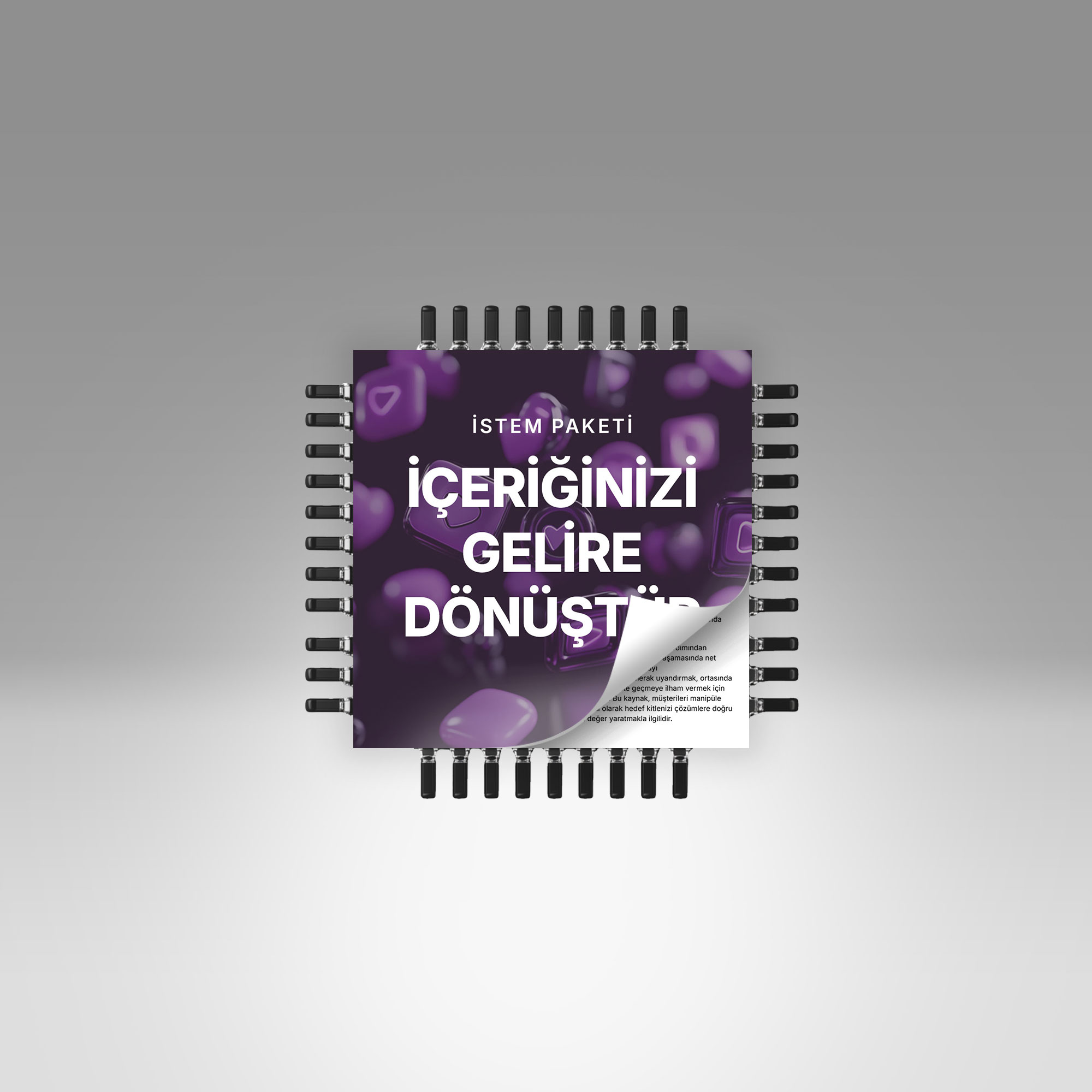 Görsel 2