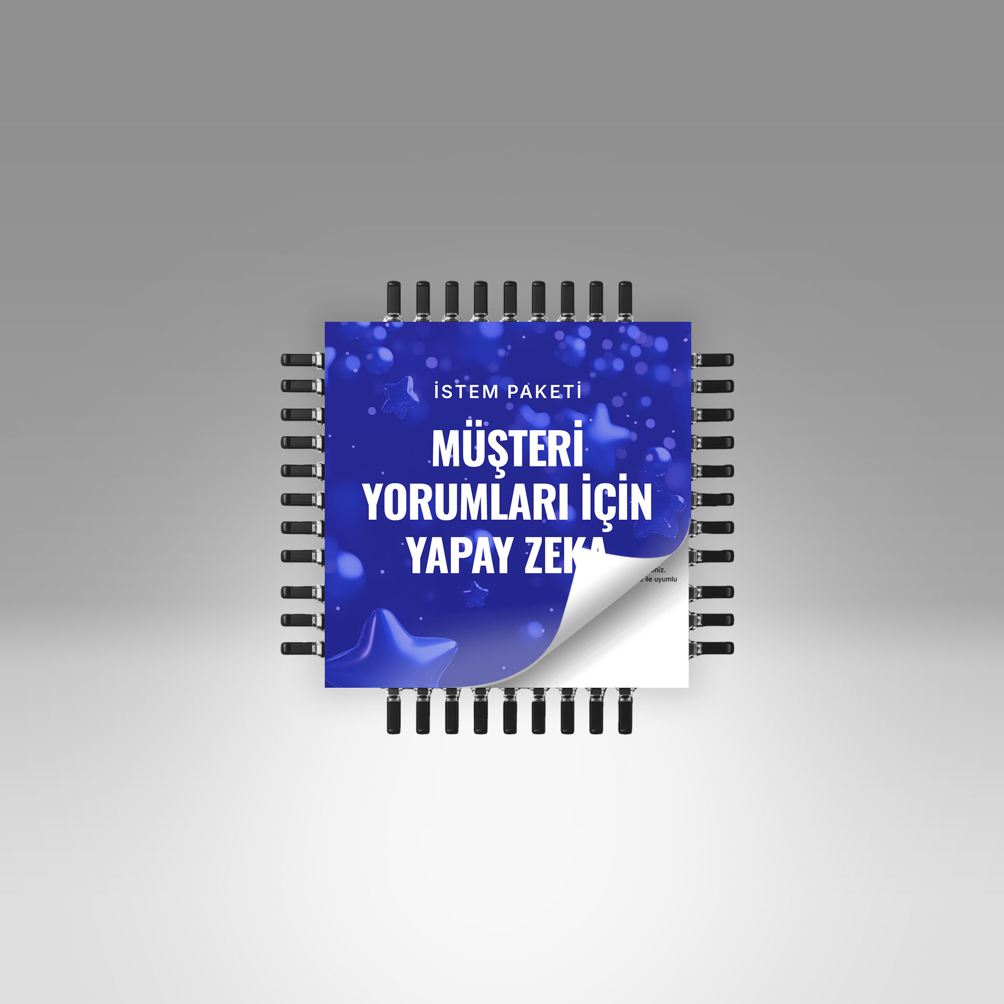 Görsel 2